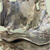 Photoroom 20260203 100047